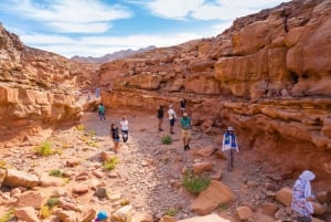 Sharm: 2 Días Dahab, Cañón, Safari, Snorkel con Estancia en Campamento