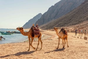 Sharm: 2 Días Dahab, Cañón, Safari, Snorkel con Estancia en Campamento