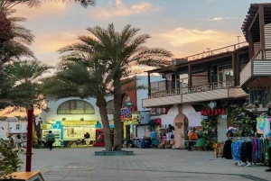 From Sharm: Discover Dahab With Snorkeling & Optional Diving