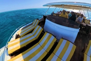 From Sharm: Discover Dahab With Snorkeling & Optional Diving