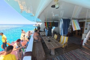 From Sharm: Discover Dahab With Snorkeling & Optional Diving