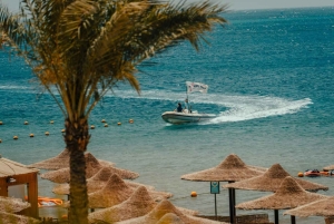 From Sharm: Discover Dahab With Snorkeling & Optional Diving