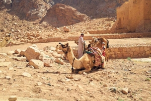 From Sharm: Discover Dahab With Snorkeling & Optional Diving