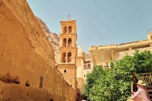 From Sharm: Discover Dahab With Snorkeling & Optional Diving