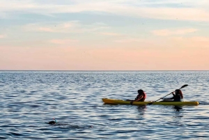 From Sharm: Discover Dahab With Snorkeling & Optional Diving