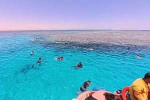 From Sharm: Discover Dahab With Snorkeling & Optional Diving