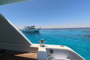 From Sharm: Discover Dahab With Snorkeling & Optional Diving
