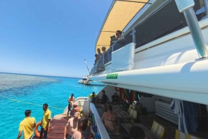 From Sharm: Discover Dahab With Snorkeling & Optional Diving