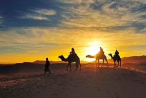 Fra Sharm El Sheikh: Beduinlandsby, kameltur og middag