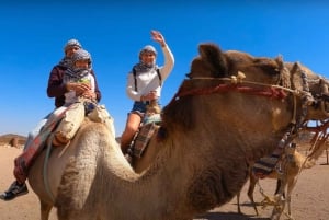 From Sharm El Sheikh: Bedouin Village, Camel Ride & Dinner