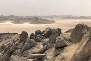 Vanuit Sharm El Sheikh: Bedoeïenendorp, kamelenrit & diner