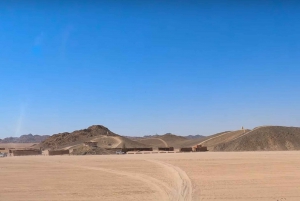 Vanuit Sharm El Sheikh: Bedoeïenendorp, kamelenrit & diner