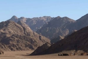 Sharm El Sheikhistä: Beduiinikylä, kameliratsastus ja illallinen