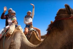 Depuis Sharm El Sheikh : Village bédouin, balade à dos de chameau et dîner