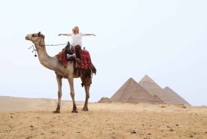 Sharm El-Sheikh: dagvullende tour naar Caïro en de piramides per bus