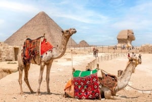 Sharm El-Sheikh: dagvullende tour naar Caïro en de piramides per bus