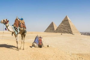De Sharm El Sheikh: viagem privada de um dia ao Cairo em carro particular