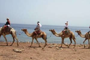 Sharm El-Sheikh: Jeep Adventure to Blue Hole, Canyon & Dahab