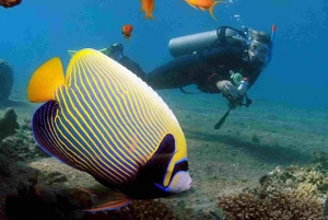 De Sharm El Sheikh: Dia inteiro em Dahab com mergulho com snorkel