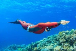 Fra Sharm El Sheikh: Heldagsopphold i Dahab med snorkling