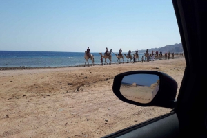 From Sharm El Sheikh: Full Day In Dahab with Snorkeling