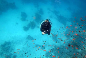 From Sharm-El-Sheikh: Ras Mohamed National Park Diving Trip