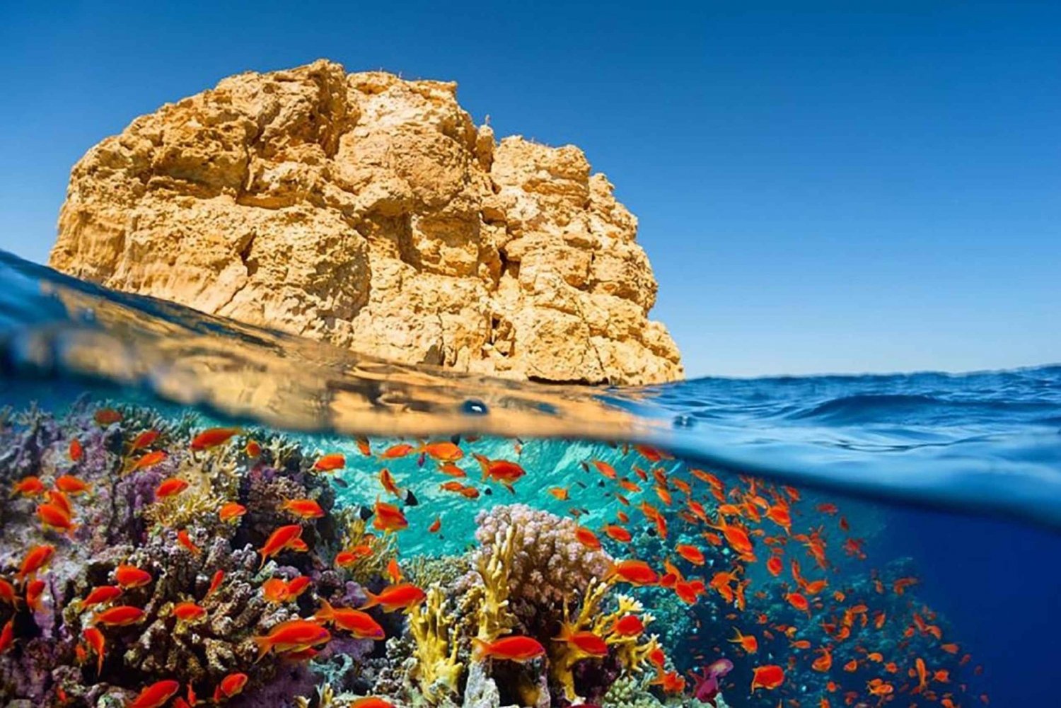 From Sharm El-Sheikh: Ras Mohammed Snorkeling Trip