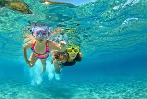 Fra Sharm: Ras Mohammed snorkelcruise og dykking (valgfritt)