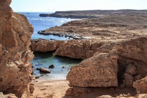 From Sharm El Sheikh Ras Mohammed snorkelling tour by Bus