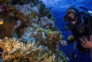 From Sharm El Sheikh Ras Mohammed snorkelling tour by Bus