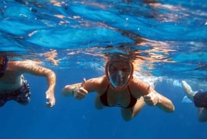 From Sharm: Half day Snorkeling Trip with Lunch