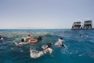 From Sharm: Half day Snorkeling Trip with Lunch