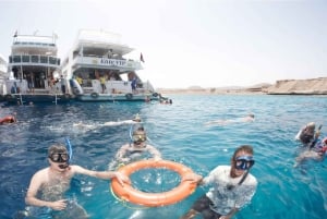 From Sharm: Half day Snorkeling Trip with Lunch