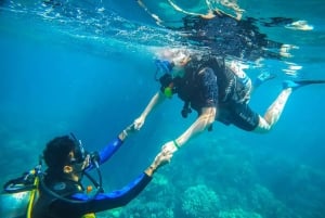 Da Sharm: crociera di lusso con immersioni a Ras Mohammed con pranzo