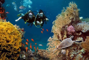 Da Sharm: crociera di lusso con immersioni a Ras Mohammed con pranzo