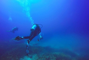 Da Sharm: crociera di lusso con immersioni a Ras Mohammed con pranzo