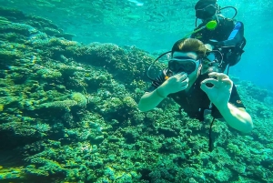 Da Sharm: crociera di lusso con immersioni a Ras Mohammed con pranzo
