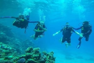 Da Sharm: crociera di lusso con immersioni a Ras Mohammed con pranzo