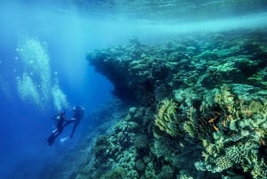 De Sharm ou Dahab: Blue Hole & Canyon Sea Dive Experience