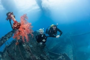 Sharmista tai Dahabista: Blue Hole & Canyon Sea Dive Experience: Blue Hole & Canyon Sea Dive Experience