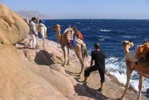 Desde Sharm o Dahab Experiencia de Buceo en el Agujero Azul y el Cañón del Mar