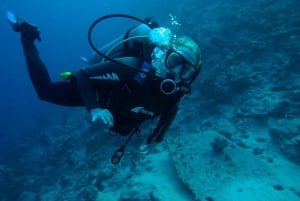 From Sharm or Dahab: Blue Hole & Canyon Sea Dive Experience