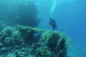 From Sharm or Dahab: Blue Hole & Canyon Sea Dive Experience