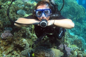 From Sharm or Dahab: Blue Hole & Canyon Sea Dive Experience
