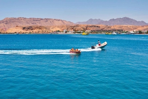 From Sharm: Parasailing, Glass Boat, Watersports, and Lunch