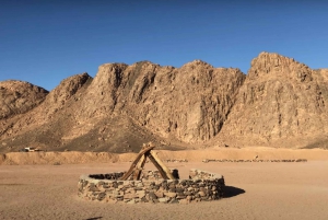 Vanuit Sharm: Privé ATV Zonsopgang of Zonsondergang & Bedoeïenendorp