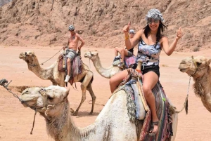 From Sharm: Private Buggy Tour with Private Transfers