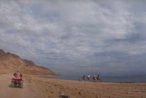 Fra Sharm: Privat tur til Dahab Canyon, ATV, kamel og frokost