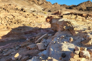 Depuis Sharm : Excursion privée au canyon de Dahab, VTT, chameau et déjeuner