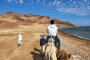 De Sharm: excursão privada ao Dahab Canyon, ATV, camelo e almoço